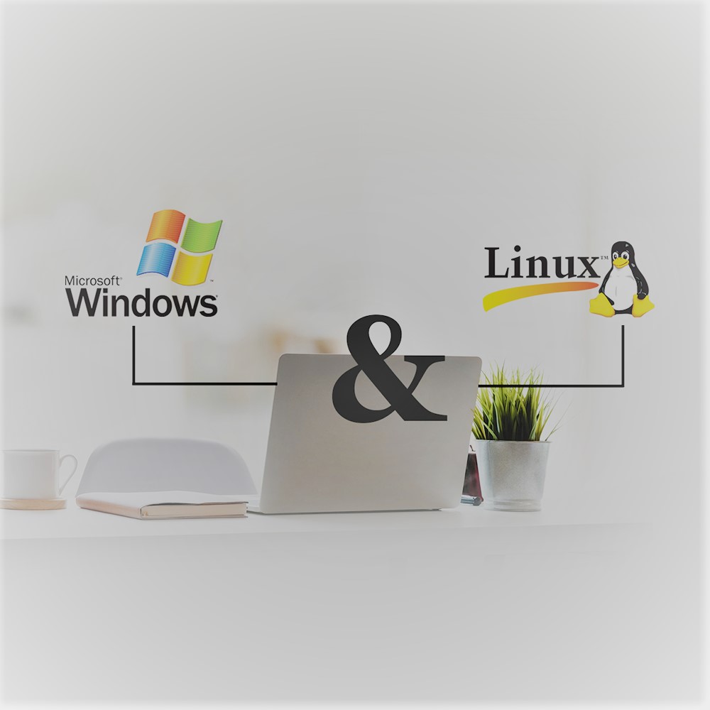 Windows Hosting ve Linux Hosting Arasında Birbirini Ayıran Farklar
